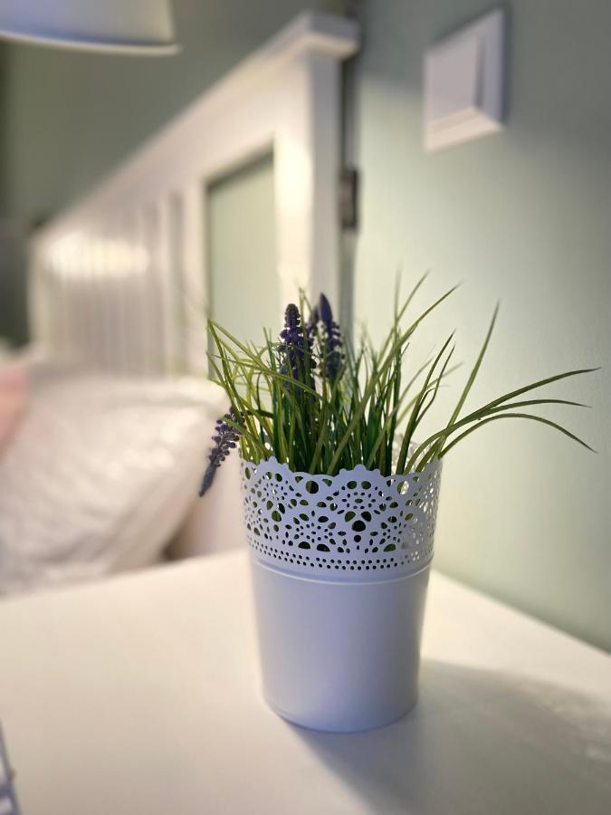 Bed N Riesling Appartement Forst an der Weinstrasse Buitenkant foto